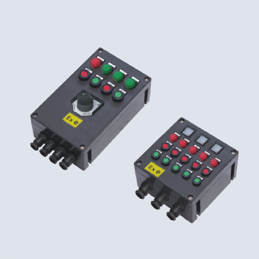 BXK8050-系列防爆防腐控制箱(IIC、 ExtD)