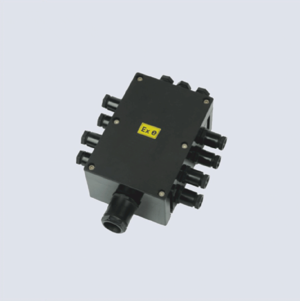 BJX8050系列防爆防腐接線箱(II C、 ExtD)