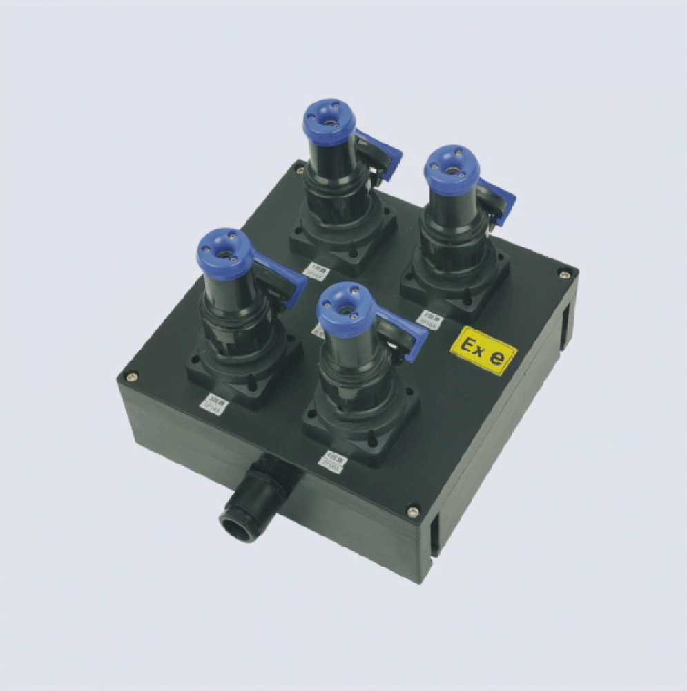 BXX8050-系列防爆防腐檢修電源插座箱(IIC、 ExtD)